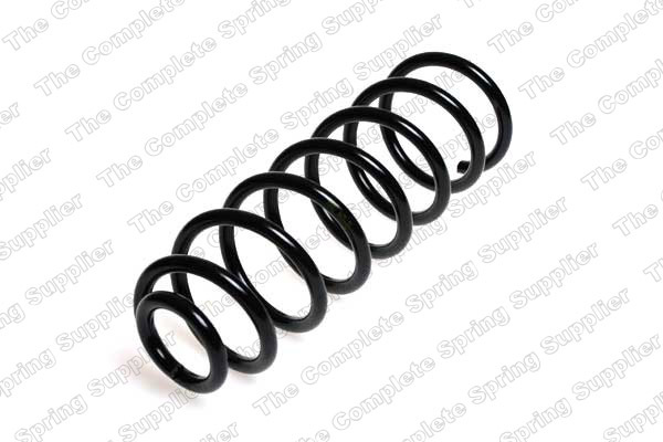 Arc spiral puntea spate (LS4295008 LESJOFORS) VW