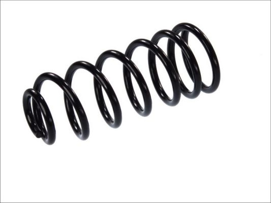 Arc spiral puntea spate (SF045MT MAGNUM TECHNOLOGY) FIAT