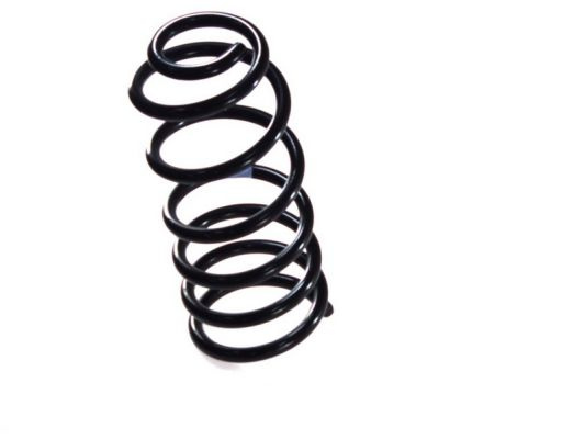 Arc spiral puntea spate (SF092MT MAGNUM TECHNOLOGY) FIAT