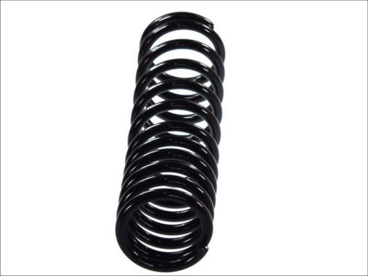 Arc spiral puntea spate (SG109MT MAGNUM TECHNOLOGY) FORD