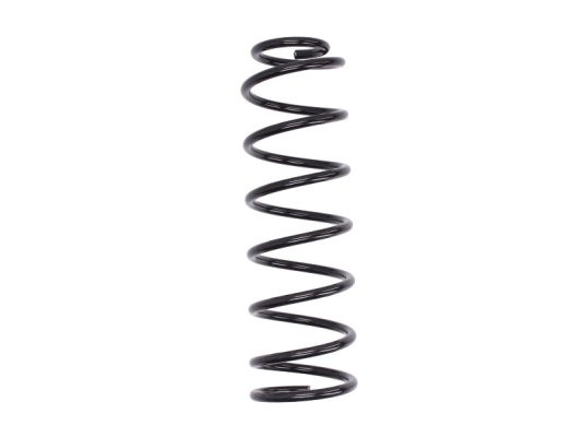 Arc spiral puntea spate (SG114MT MAGNUM TECHNOLOGY) FORD