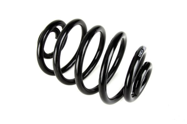Arc spiral puntea spate (SR039MT MAGNUM TECHNOLOGY) RENAULT