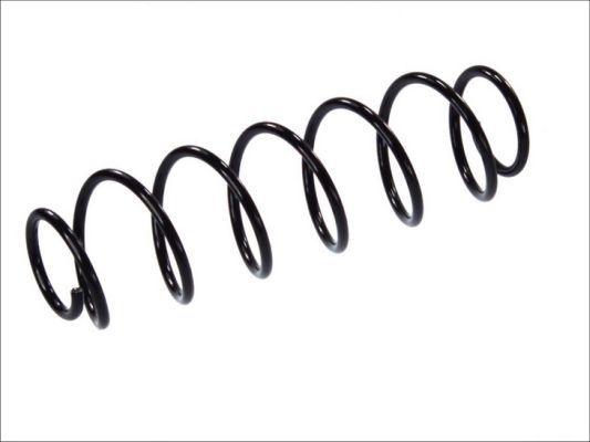 Arc spiral puntea spate (SR043MT MAGNUM TECHNOLOGY) RENAULT