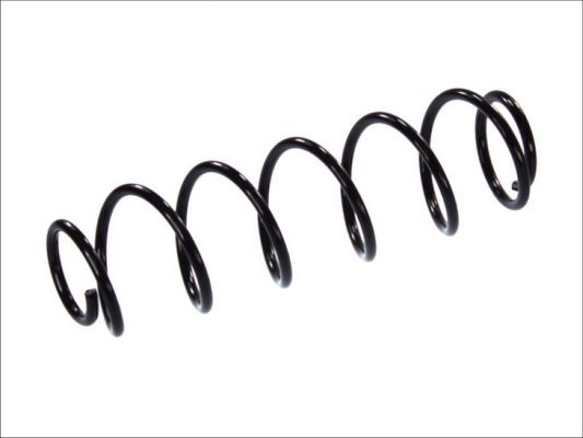 Arc spiral puntea spate (SR044MT MAGNUM TECHNOLOGY) RENAULT