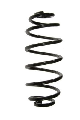 Arc spiral puntea spate (SR064MT MAGNUM TECHNOLOGY) RENAULT