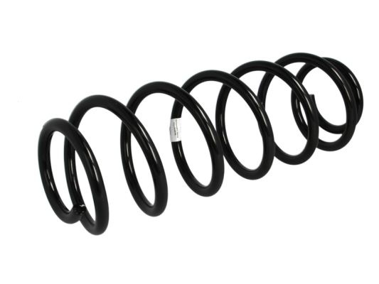 Arc spiral puntea spate (SR069MT MAGNUM TECHNOLOGY) RENAULT