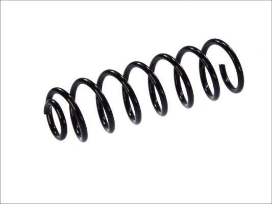 Arc spiral puntea spate (SR073MT MAGNUM TECHNOLOGY) RENAULT