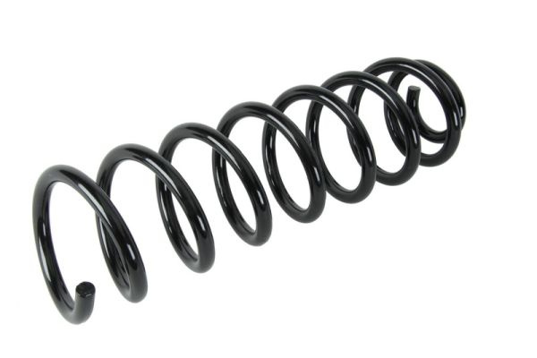 Arc spiral puntea spate (SR075MT MAGNUM TECHNOLOGY) RENAULT