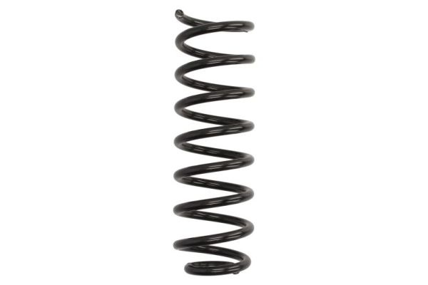 Arc spiral puntea spate (SR136MT MAGNUM TECHNOLOGY) RENAULT