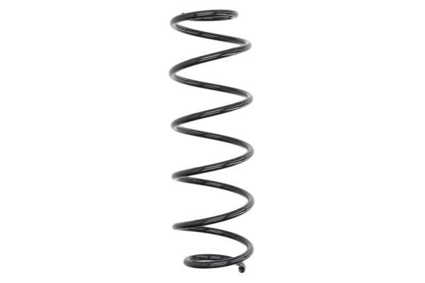 Arc spiral puntea spate (SR143MT MAGNUM TECHNOLOGY) RENAULT