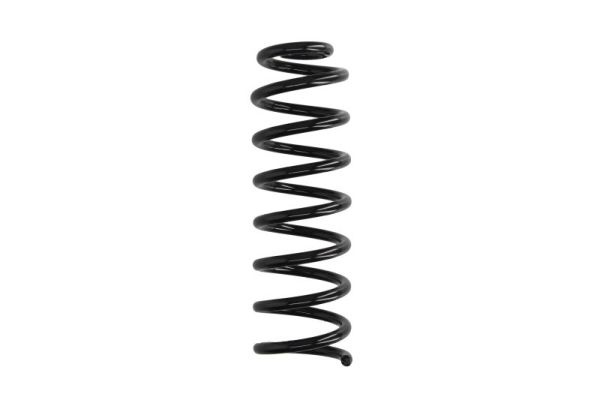 Arc spiral puntea spate (SR148MT MAGNUM TECHNOLOGY) RENAULT