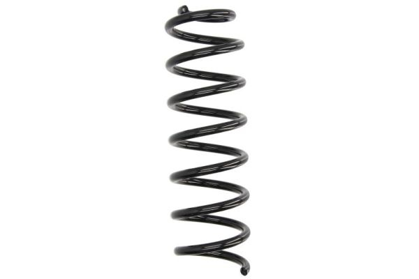 Arc spiral puntea spate (SR153MT MAGNUM TECHNOLOGY) RENAULT