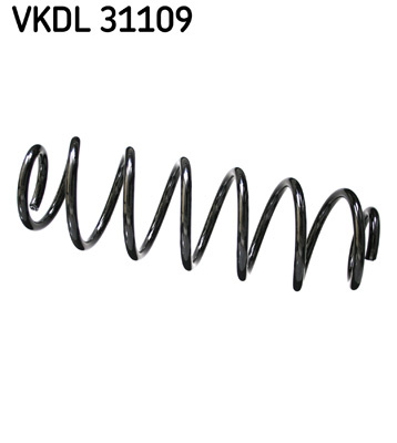 Arc spiral puntea spate (VKDL31109 SKF) VW