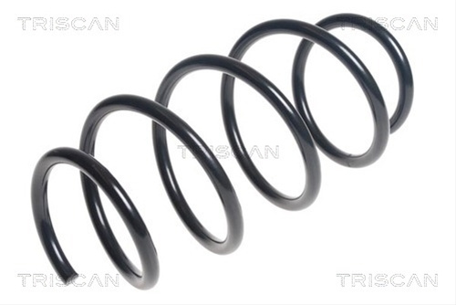 Arc Spiral Triscan Renault 8750 25119