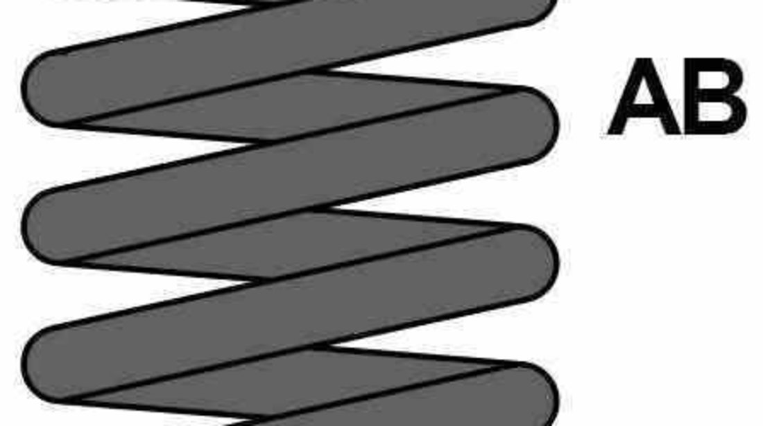 Arc suspensie spiral MERCEDES-BENZ S-CLASS W140 DIEDERICHS 9980747
