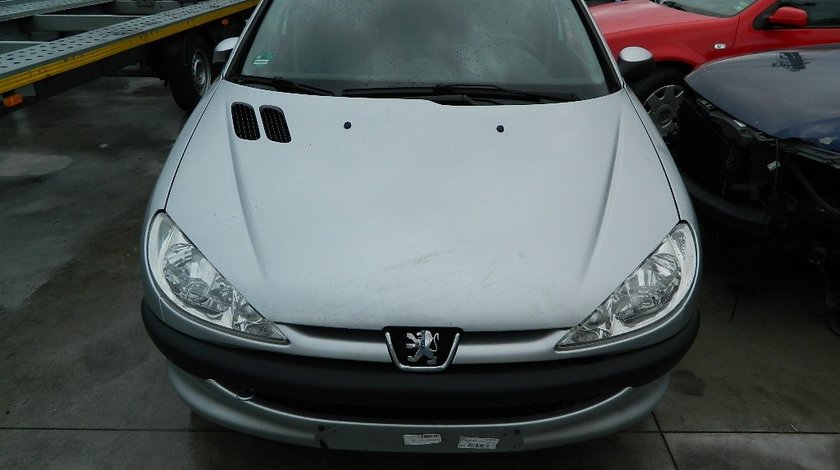 Arcuri fata Peugeot 206sw model 2004