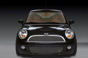 Arden prezinta MINI Equipe