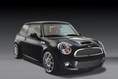 Arden prezinta MINI Equipe
