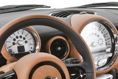Arden prezinta MINI Equipe
