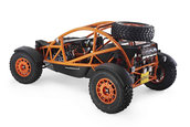 Ariel Nomad