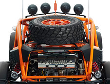 Ariel Nomad