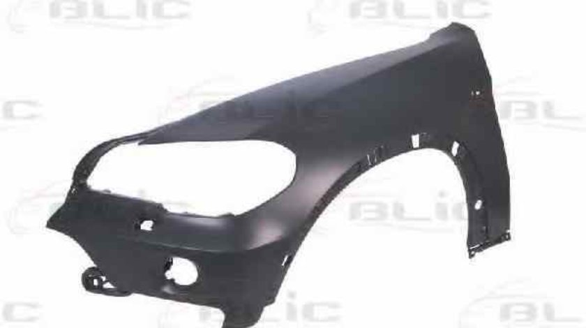 Aripa BMW X5 E70 BLIC 6504-04-0096311P