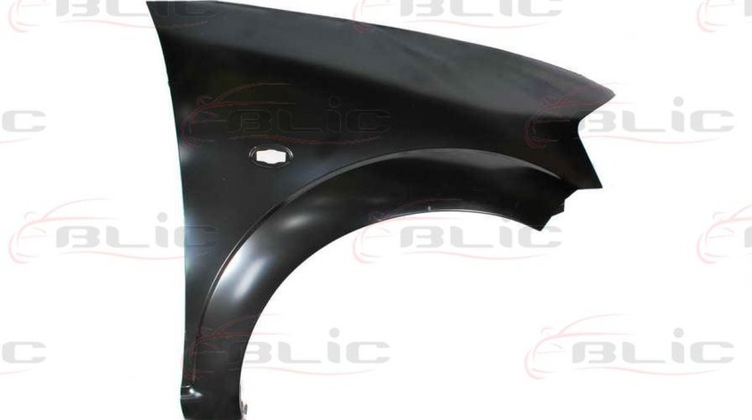 Aripa CITROËN C3 I FC Producator BLIC 6504-04-0519312P