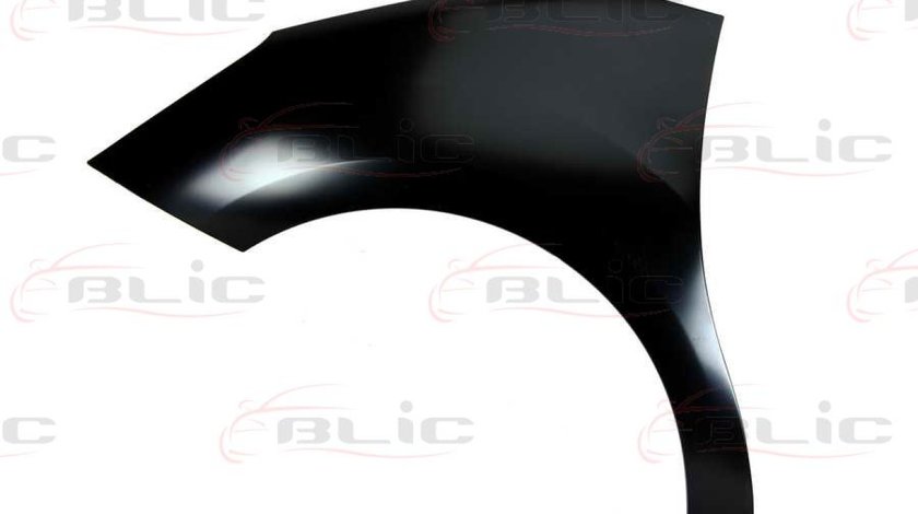 Aripa CITROËN C3 II Producator BLIC 6504-04-0531311P