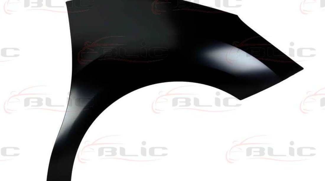 Aripa CITROËN C3 II Producator BLIC 6504-04-0531312P