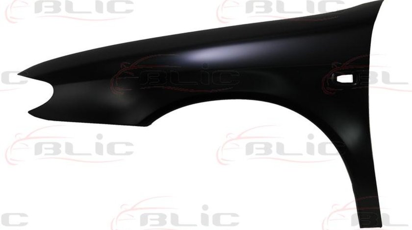 Aripa CITROËN XSARA N1 Producator BLIC 6504-04-0535311P