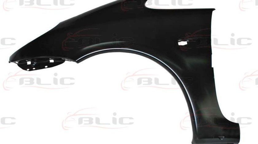 Aripa CITROËN XSARA PICASSO N68 Producator BLIC 6504-04-0536311P