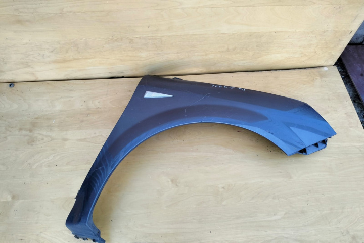Aripa Dreapta Renault Scenic 2 [2003 - 2006]