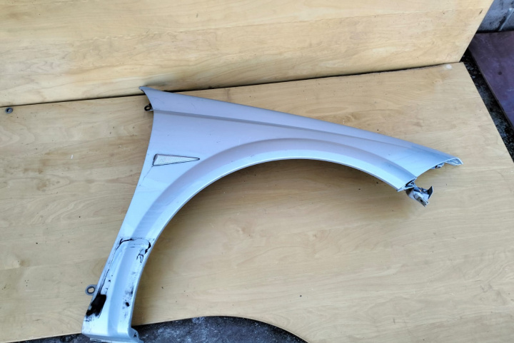 Aripa Dreapta Renault Scenic 2 [2003 - 2006]