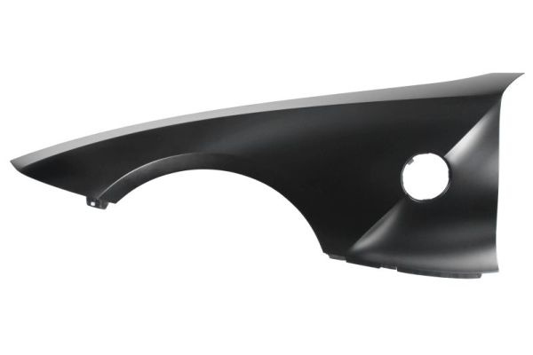 Aripa fata stanga (6504040089311P BLIC) BMW