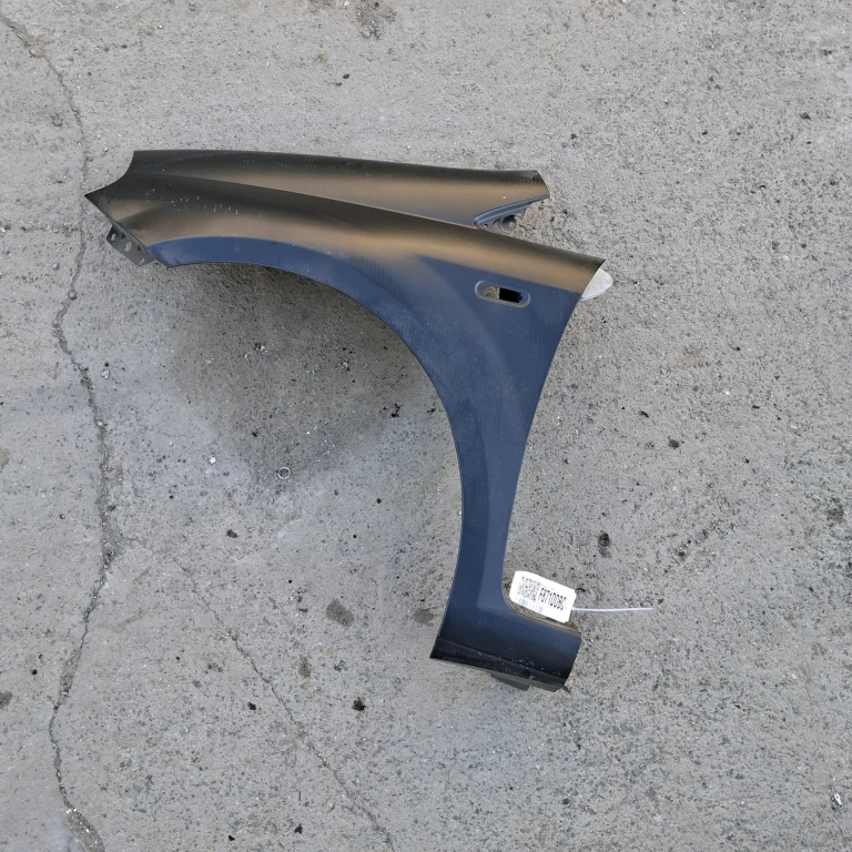 Aripa Fiat Grande Punto (199) 2005-2012 Negru Fata Stanga Ft3423014, Ft10029Al, 99790001Ft10029Aleai, 1138803, T1006A, 20100617, 10512793, 033533123634 Prasco