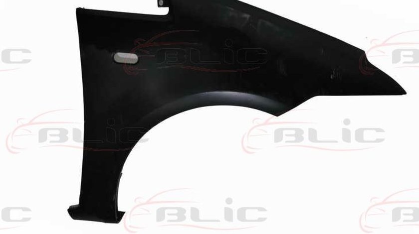 Aripa FORD C-MAX DM2 Producator BLIC 6504-04-2534312P