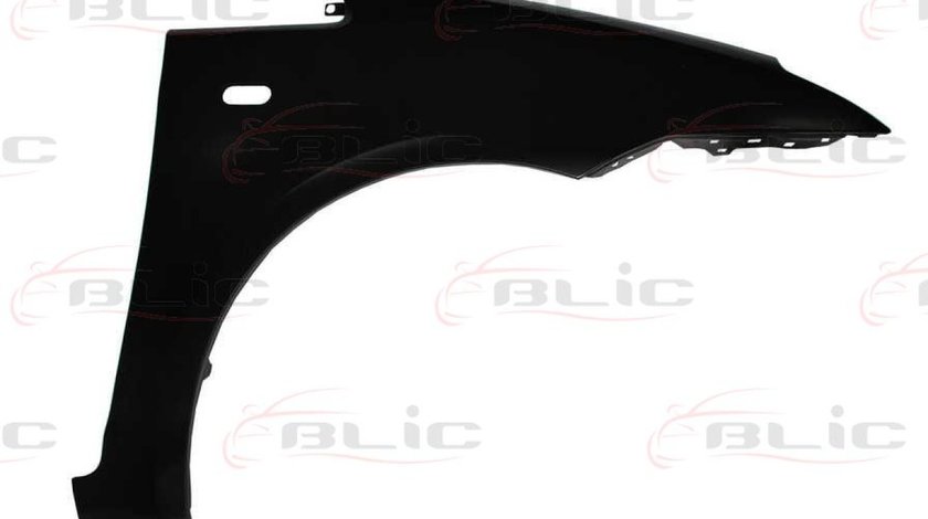 Aripa FORD FOCUS C-MAX Producator BLIC 6504-04-2534314P