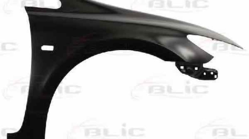 Aripa HONDA CIVIC VIII limuzina FD FA BLIC 6504-04-2939314P