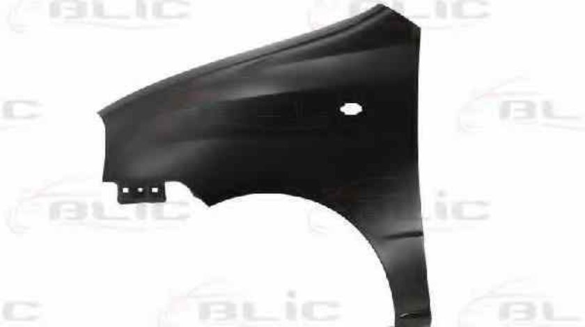 Aripa HYUNDAI ATOS MX BLIC 6504-04-3126311P