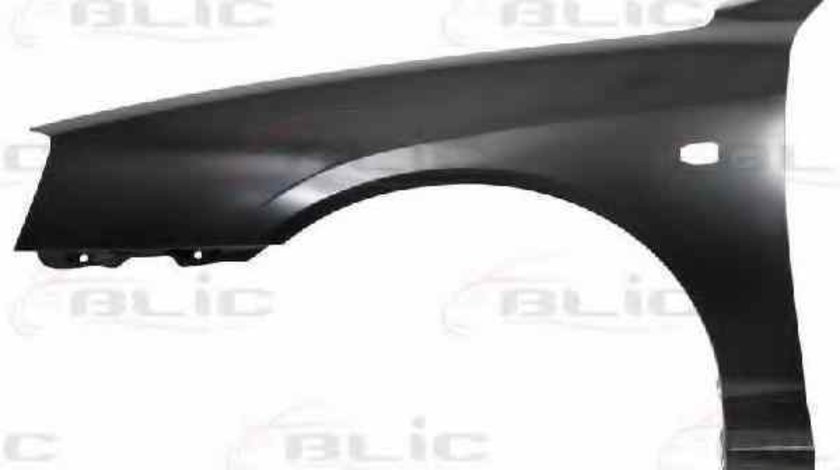 Aripa HYUNDAI ELANTRA XD BLIC 6504-04-3163317P