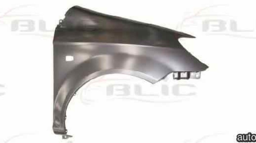 Aripa HYUNDAI GETZ TB BLIC 6504-04-3127314P