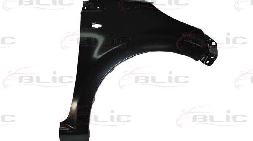 Aripa PEUGEOT 107 Producator BLIC 6504-04-0501312P