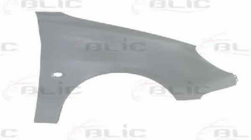 Aripa PEUGEOT 206 hatchback 2A/C BLIC 6504-04-5507312P