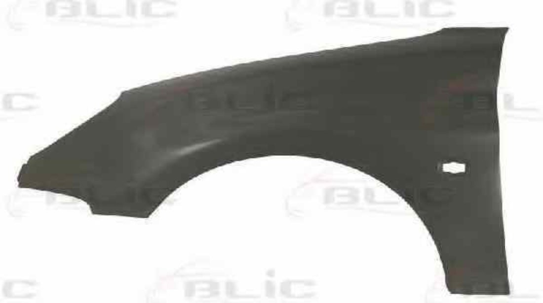 Aripa PEUGEOT 206 hatchback 2A/C BLIC 6504-04-5507315P