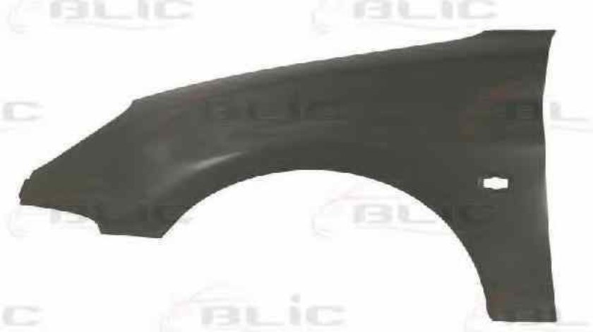 Aripa PEUGEOT 206 hatchback 2A/C BLIC 6504-04-5507315P