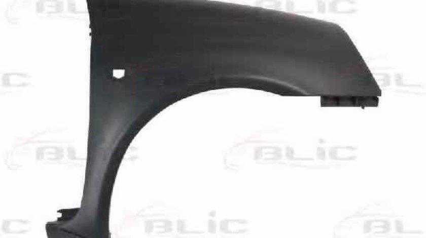 Aripa RENAULT CLIO II BB0/1/2 CB0/1/2 BLIC 6504-04-6032316P