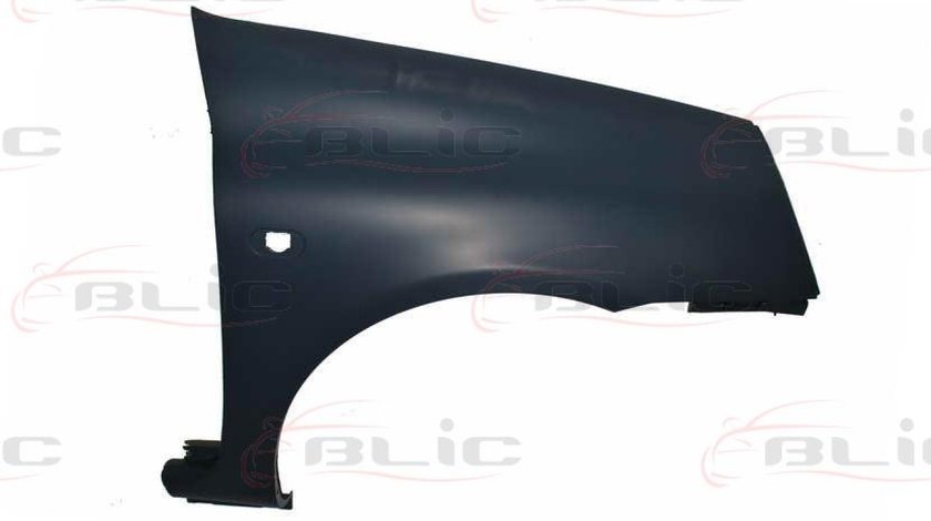 Aripa RENAULT CLIO II BB0/1/2 CB0/1/2 Producator BLIC 6504-04-6032314P