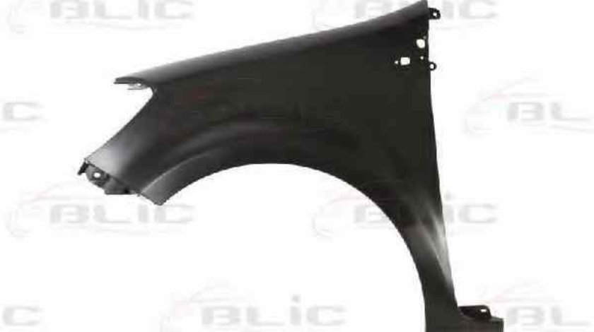 Aripa RENAULT CLIO III BR0/1 CR0/1 BLIC 6504-04-6033313P