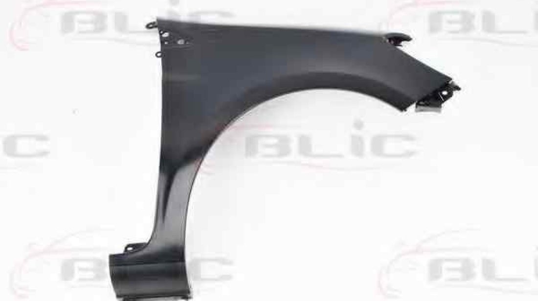 Aripa RENAULT CLIO III BR0/1 CR0/1 Producator BLIC 6504-04-6033312P