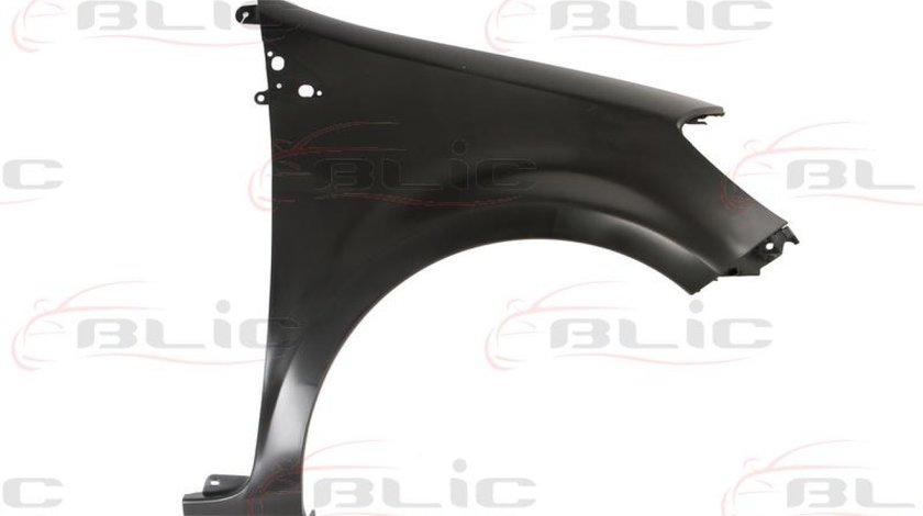 Aripa RENAULT CLIO III BR0/1 CR0/1 Producator BLIC 6504-04-6033314P